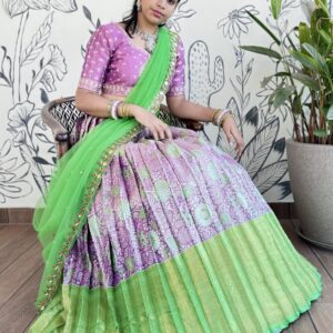Vasanta Vibes Kanchi Silk Half Saree with Embroidered Blouse